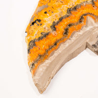 Jasper, Bumble Bee - Slab, Large