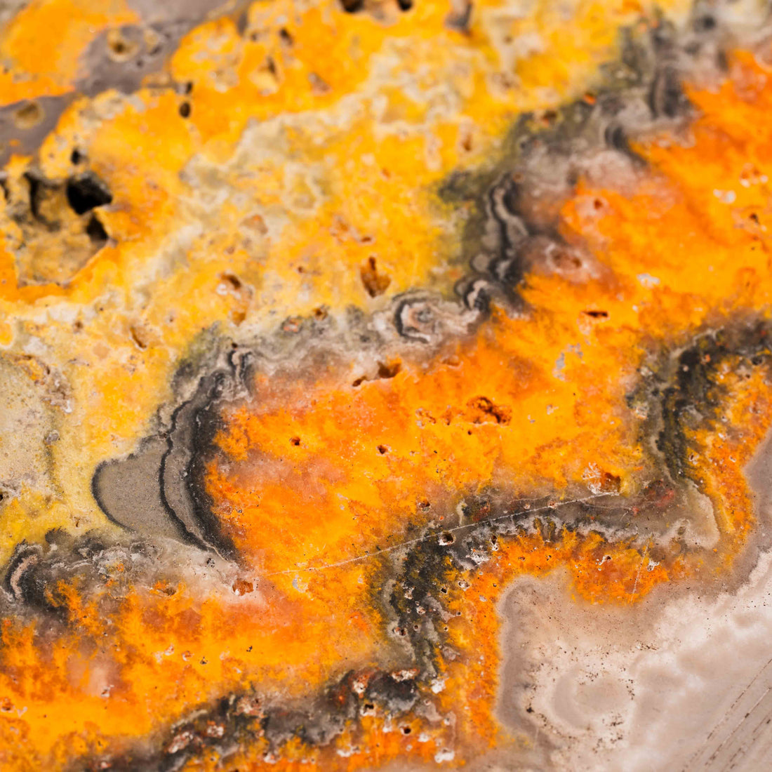 Bumble Bee Jasper - Slab, Large