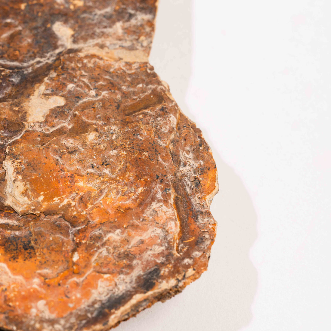 Slaty Shale Record - Earth Love Gallery Collection