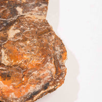 Slaty Shale Record - Earth Love Gallery Collection