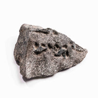 Alexandrite - Earth Love Gallery Collection