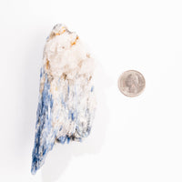 Kyanite, Blue- AA Grade Specimen
