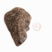 Alexandrite in Mica Schist - Earth Love Gallery Collection