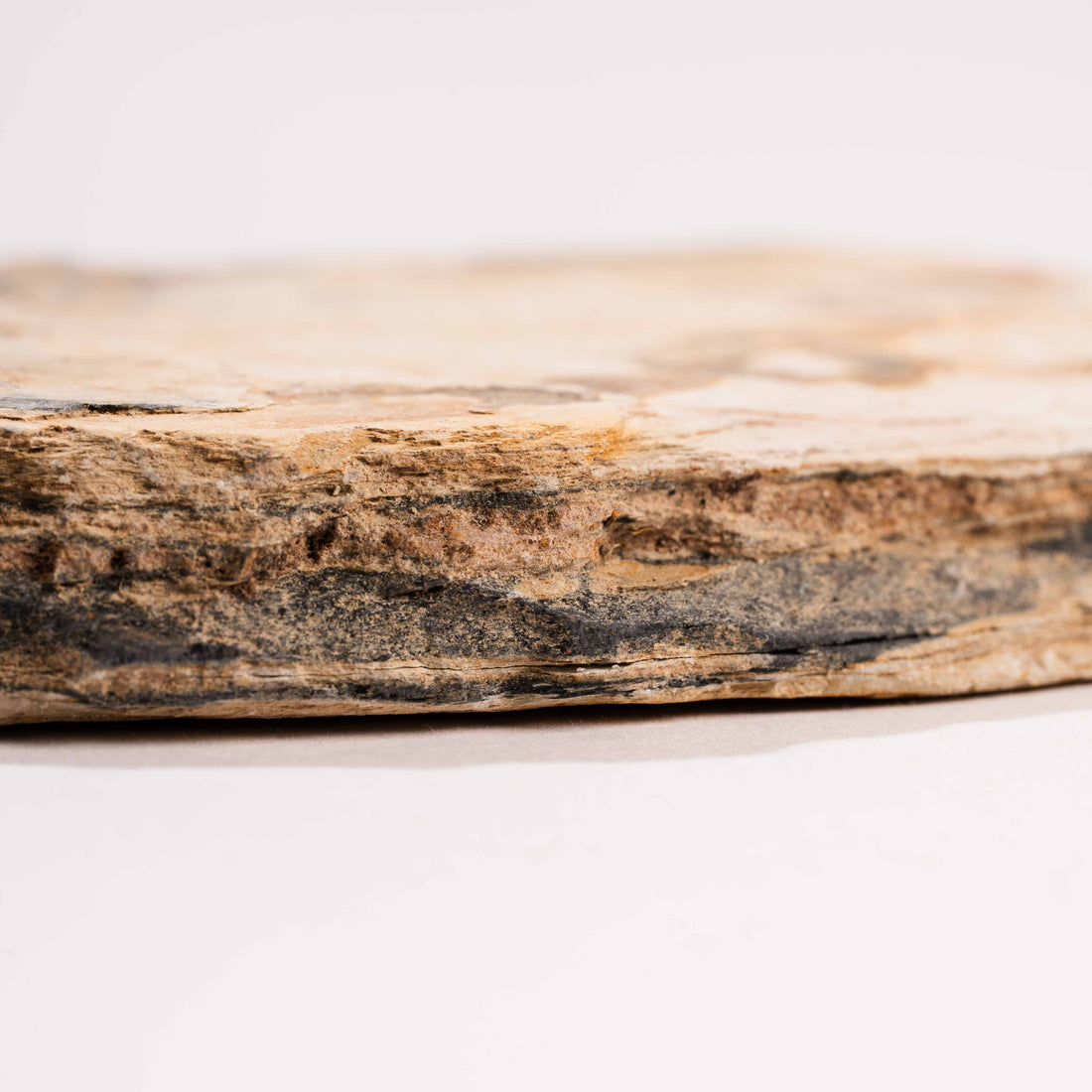 Slaty Shale Record - Earth Love Gallery Collection