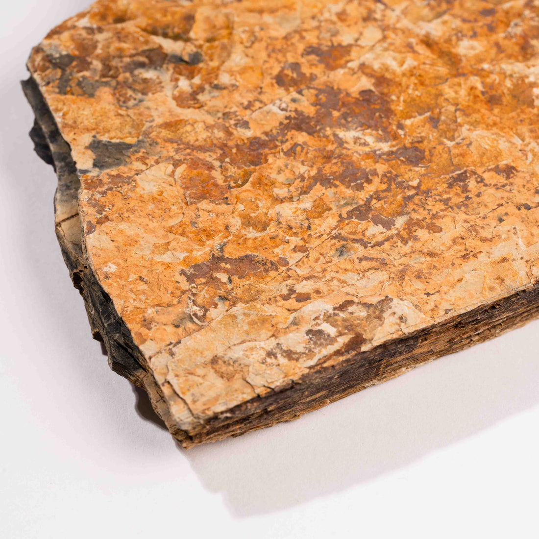 Slaty Shale Record - Earth Love Gallery Collection