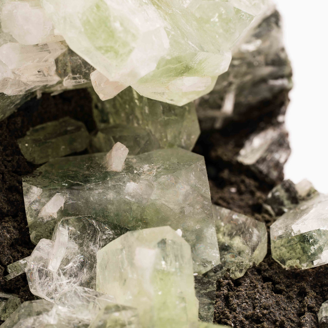 Apophyllite, Green - Cluster