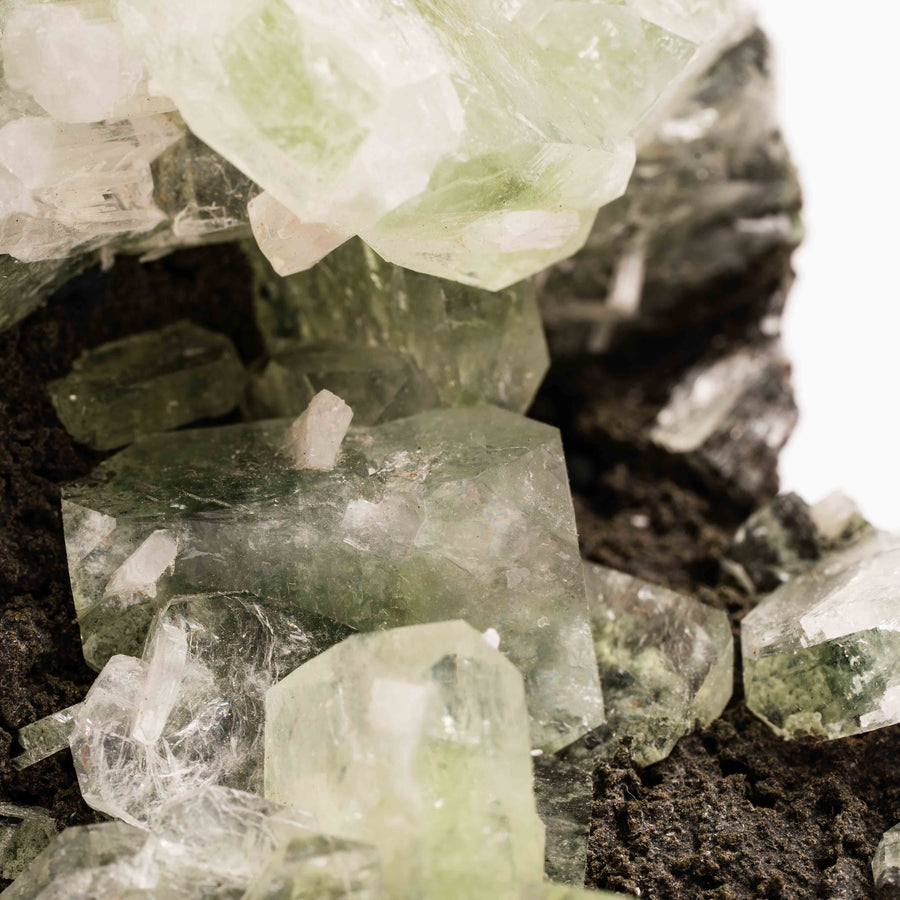 Apophyllite, Green - Cluster