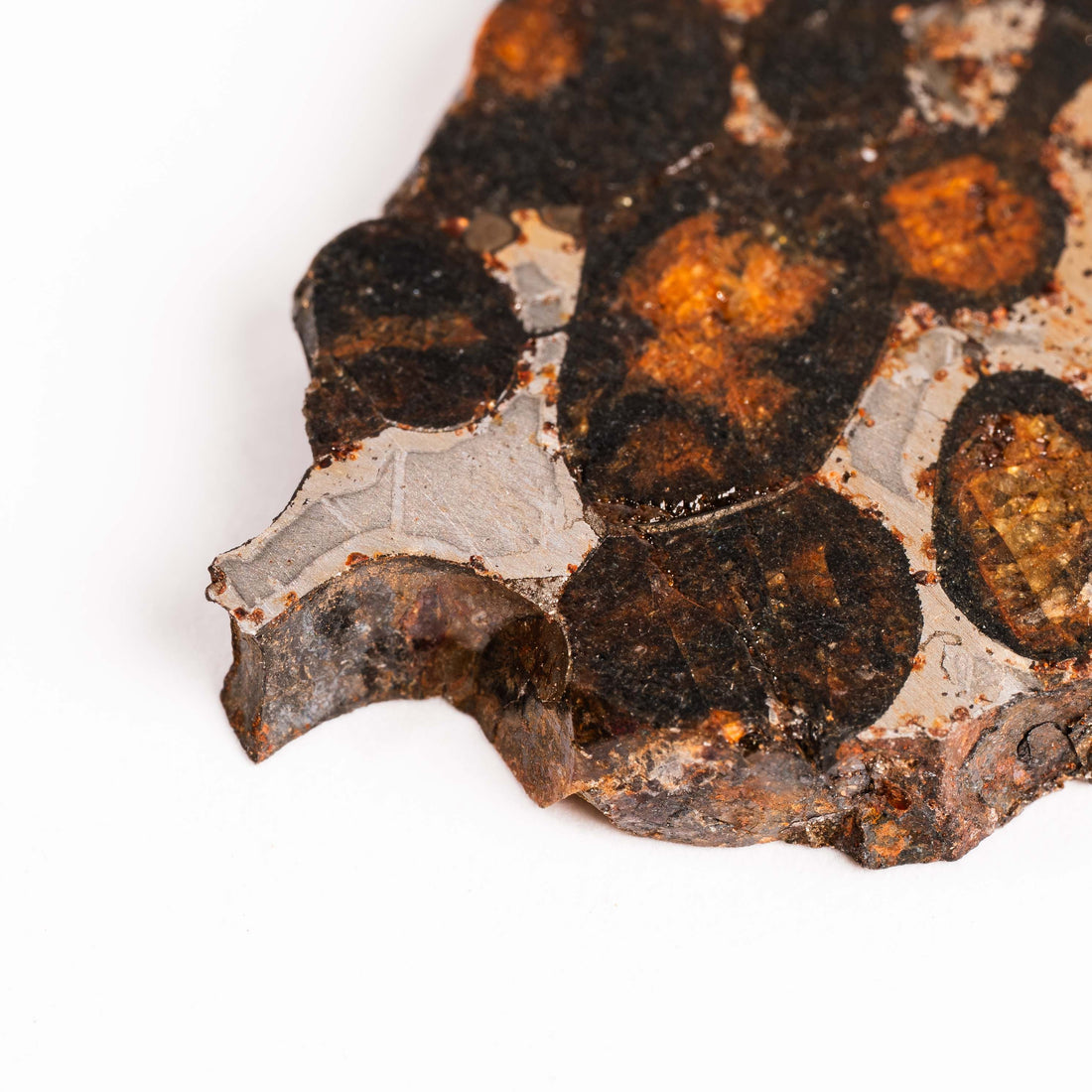 Sericho Pallasite Meteorite