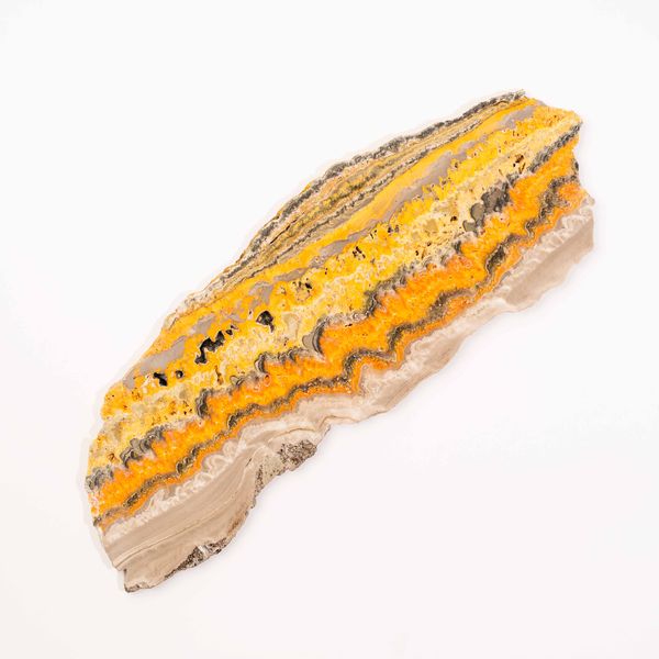 Bumble Bee Jasper - Slab, Large