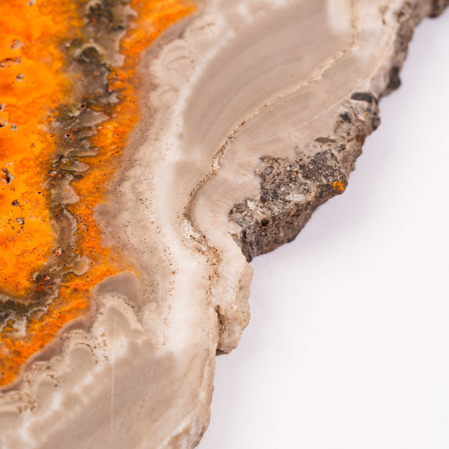 Jasper, Bumble Bee - Slab, Large