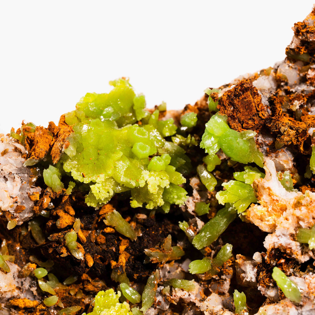 Pyromorphite - Large