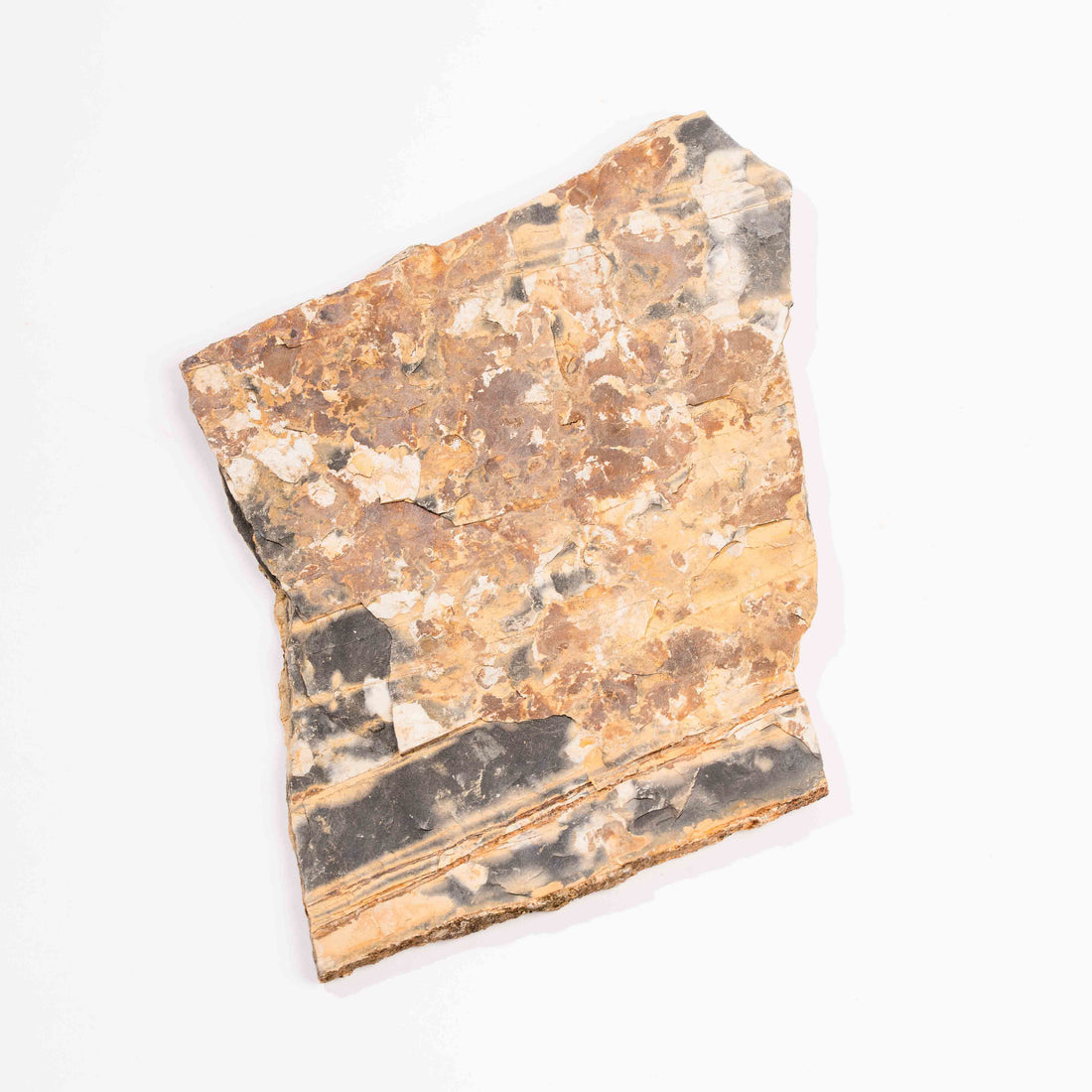 Slaty Shale Record - Earth Love Gallery Collection