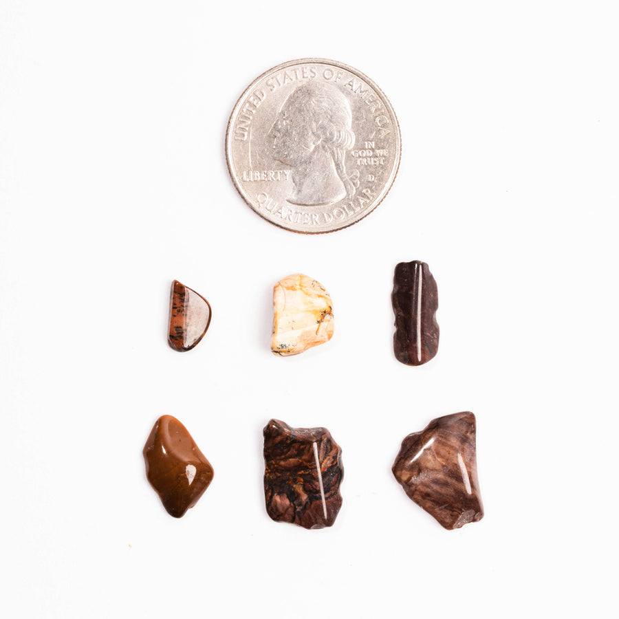 Biggs Jasper, Intuitive Picks - Earth Love Gallery Collection