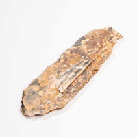 Slaty Shale Record - Earth Love Gallery Collection