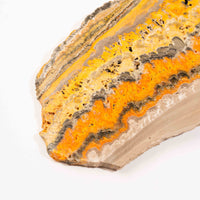 Bumble Bee Jasper - Slab, Large