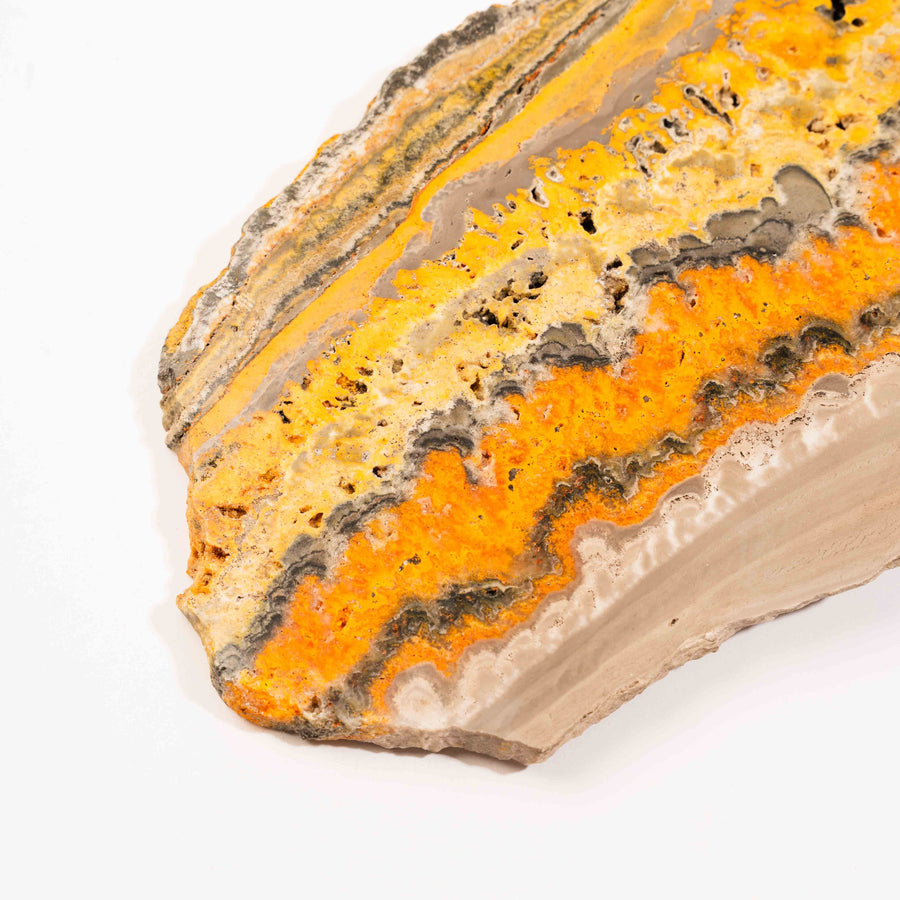 Bumble Bee Jasper - Slab, Large