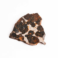 Sericho Pallasite Meteorite