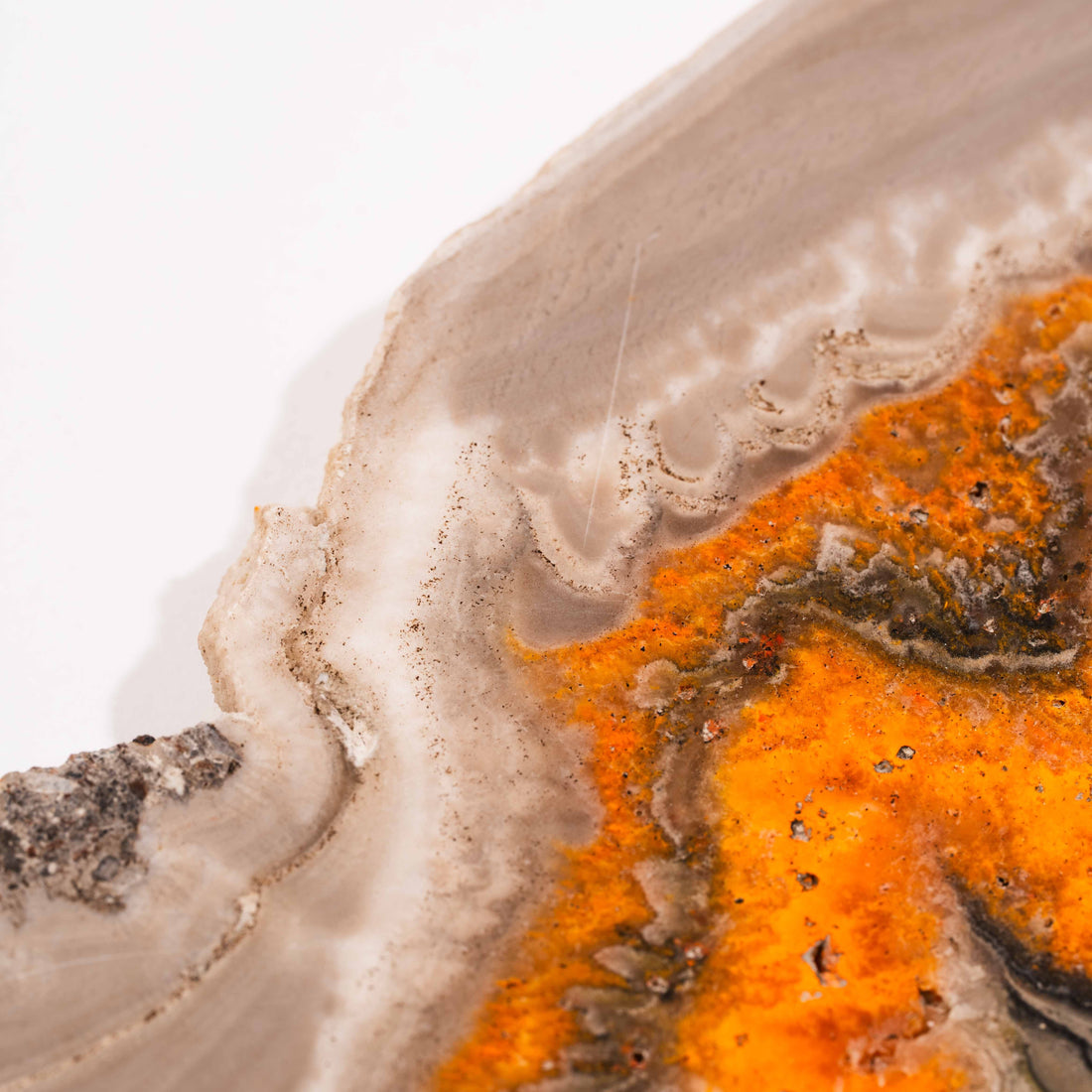 Bumble Bee Jasper - Slab, Large