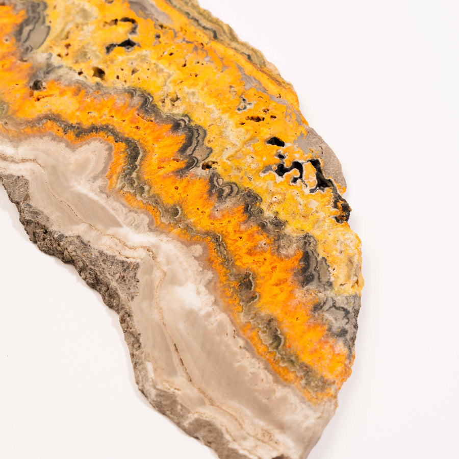 Bumble Bee Jasper - Slab, Large