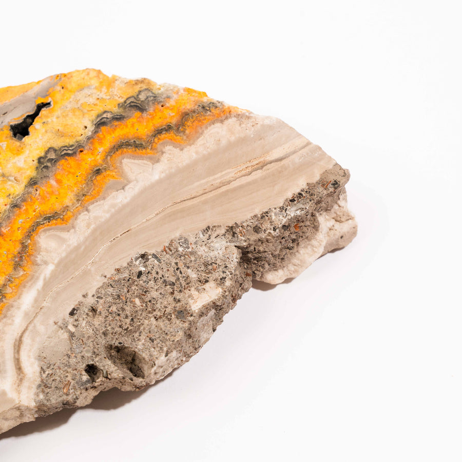 Jasper, Bumble Bee - Slab, Large