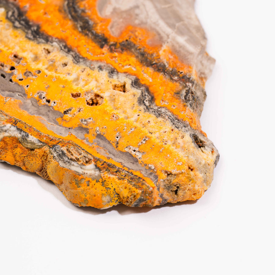 Bumble Bee Jasper - Slab, Large