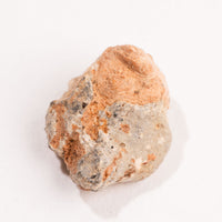 Lunar Meteorite - Bechar 007