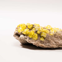 Sulphur Cluster on Matrix