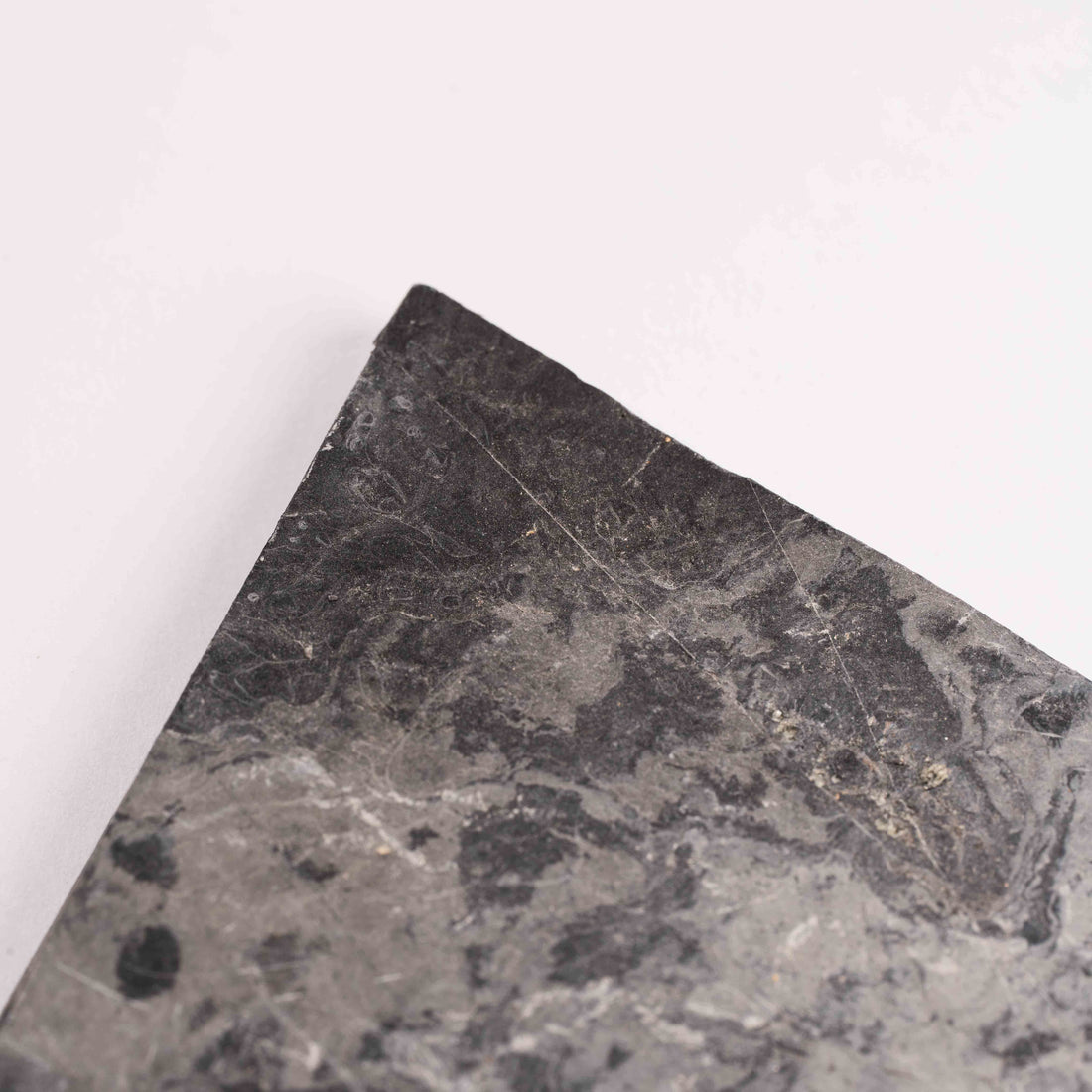 Slaty Shale Record - Earth Love Gallery Collection