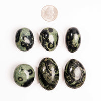 Jasper, Kambaba - Palm Stone(s)