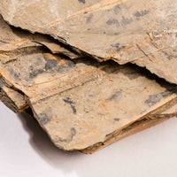 Slaty Shale Record - Earth Love Gallery Collection