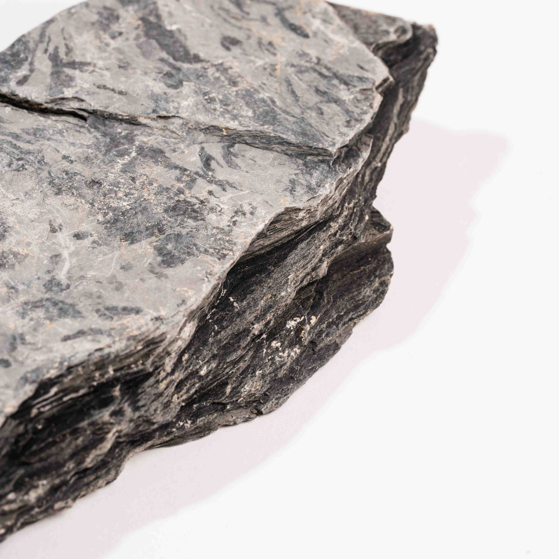Slaty Shale Record - Earth Love Gallery Collection