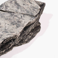 Slaty Shale Record - Earth Love Gallery Collection