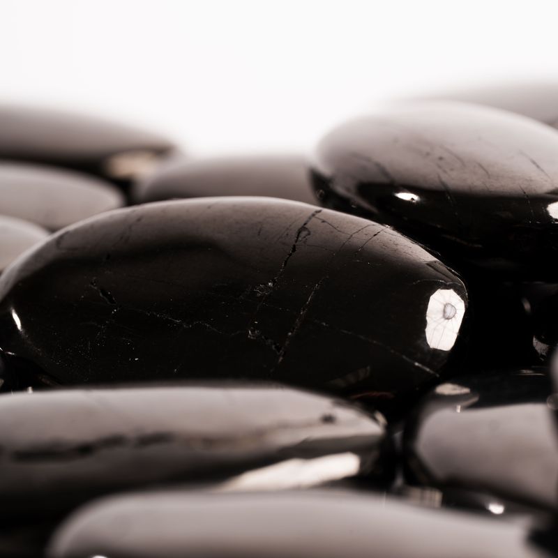 Shungite, Petrovsky - Soapstones/Palms