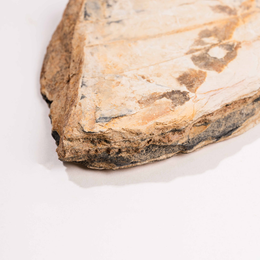 Slaty Shale Record - Earth Love Gallery Collection