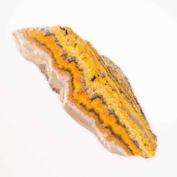 Bumble Bee Jasper - Slab, Large