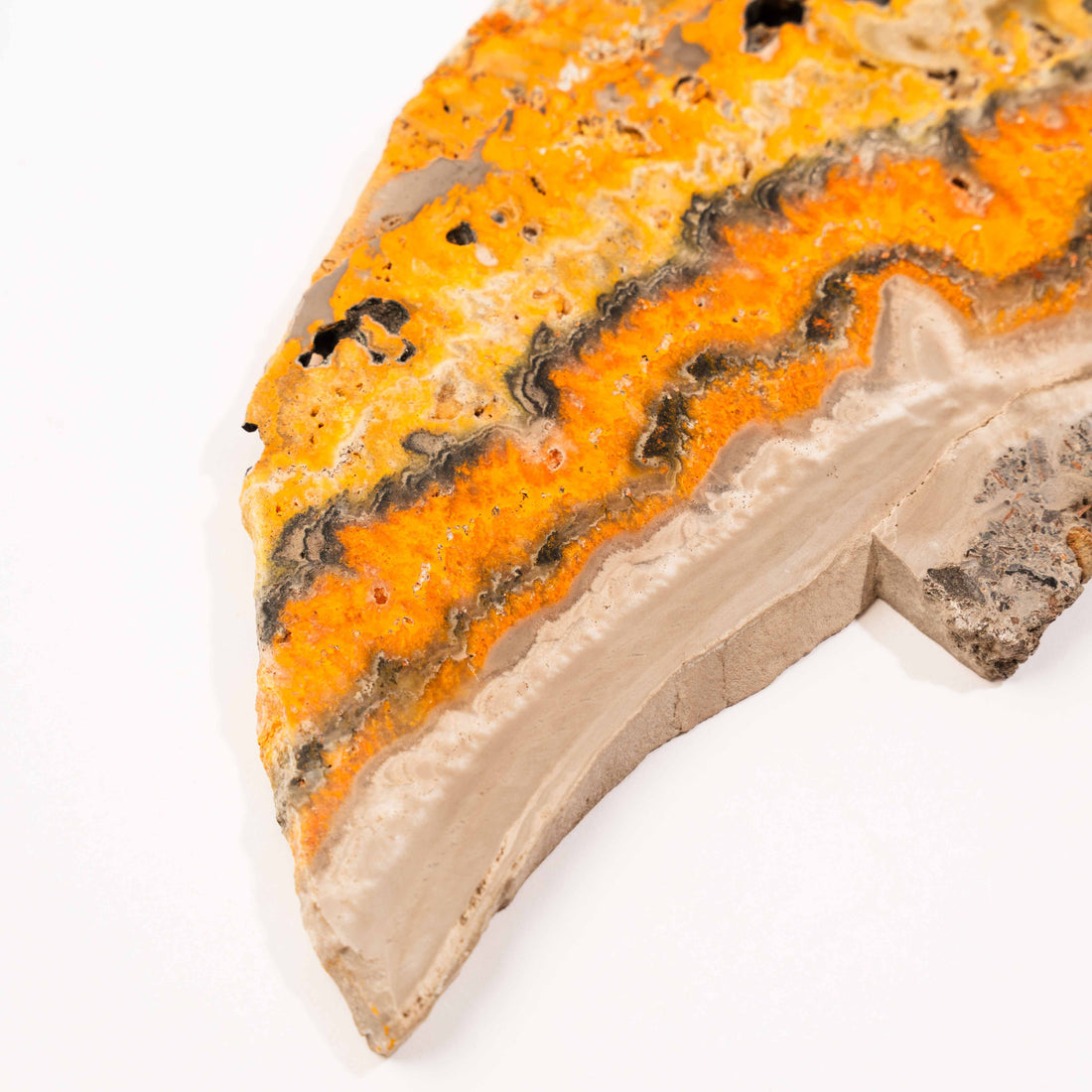 Jasper, Bumble Bee - Slab, Large