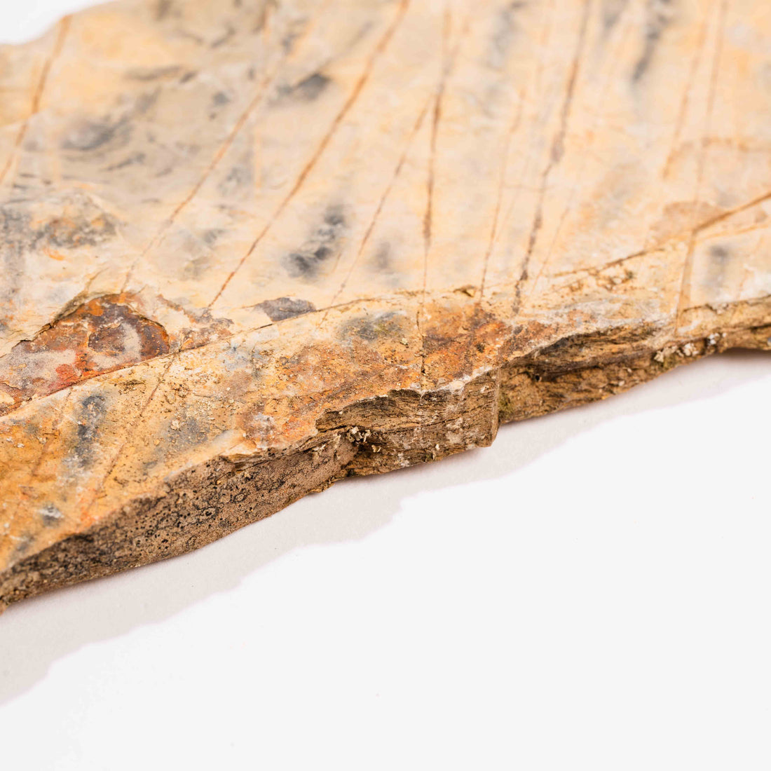 Slaty Shale Record - Earth Love Gallery Collection