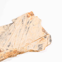 Slaty Shale Record - Earth Love Gallery Collection