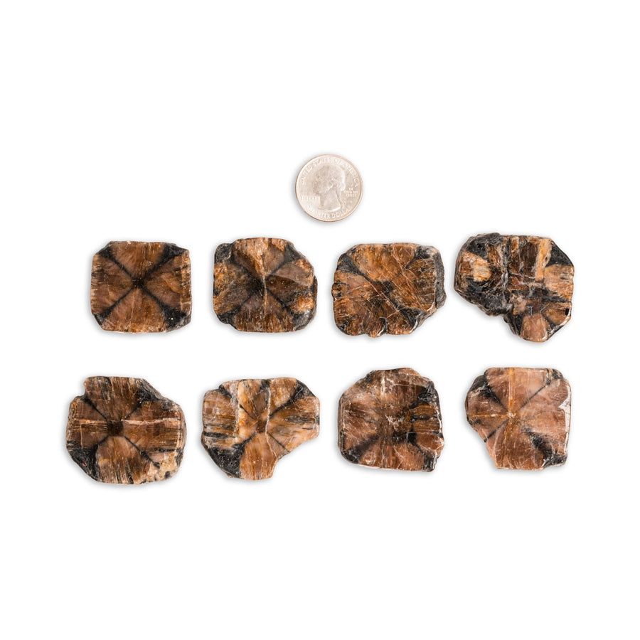 Chiastolite (Andalusite Cross)