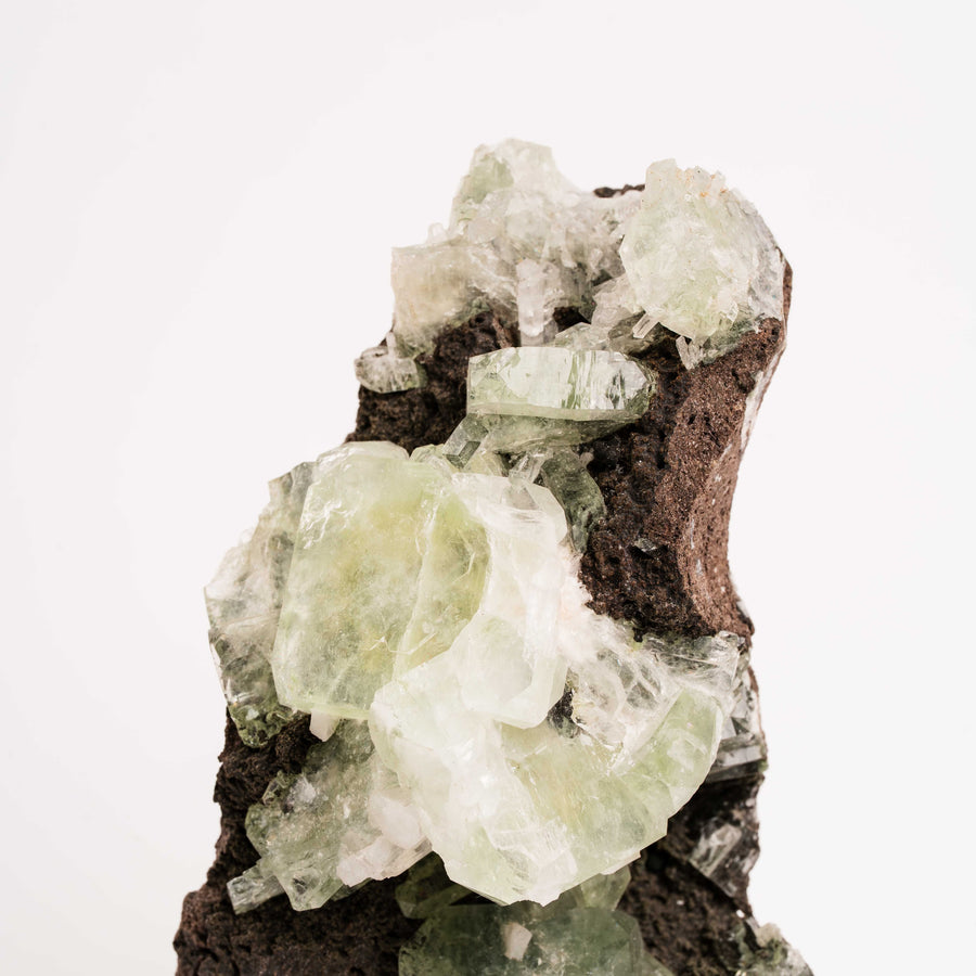 Apophyllite, Green - Cluster