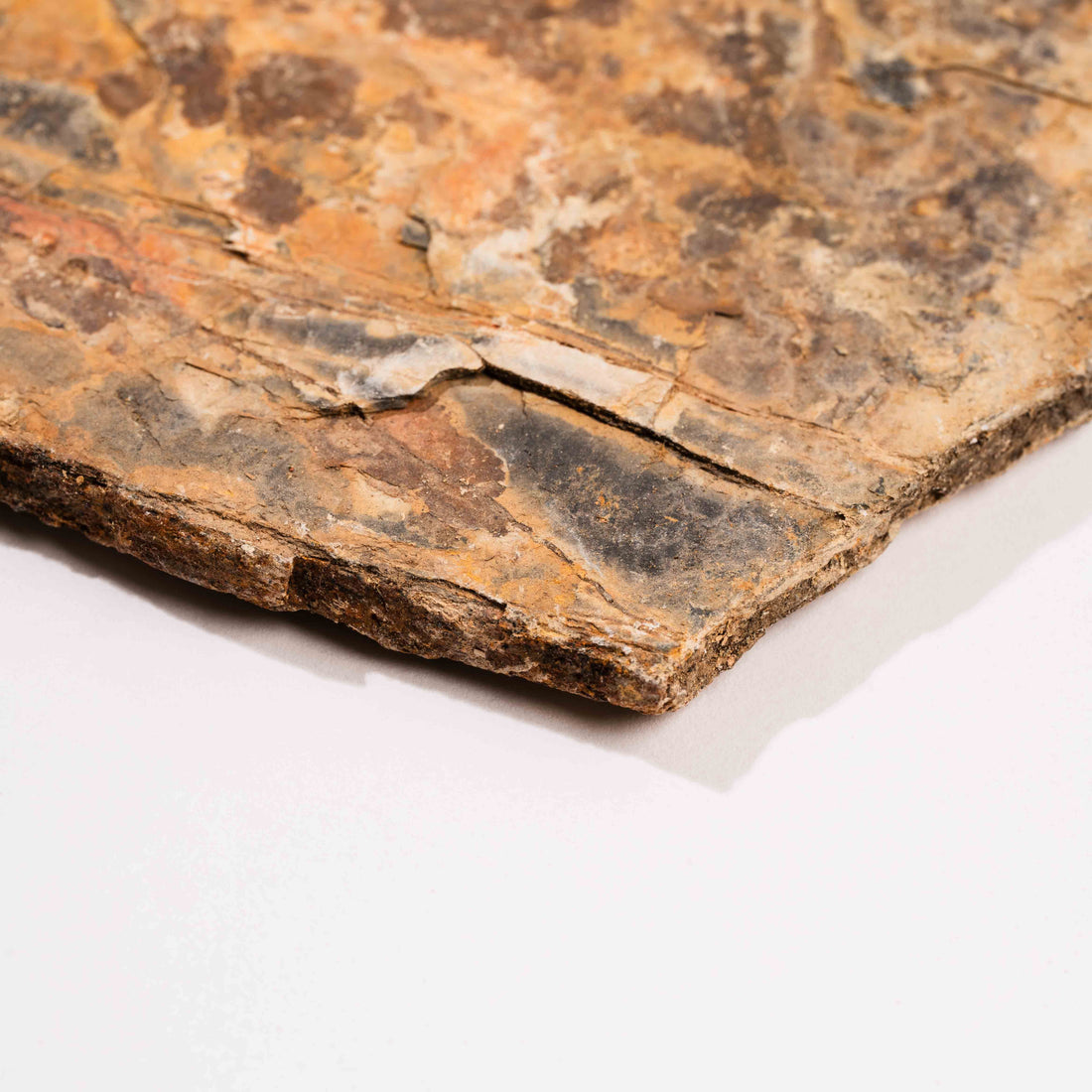 Slaty Shale Record - Earth Love Gallery Collection