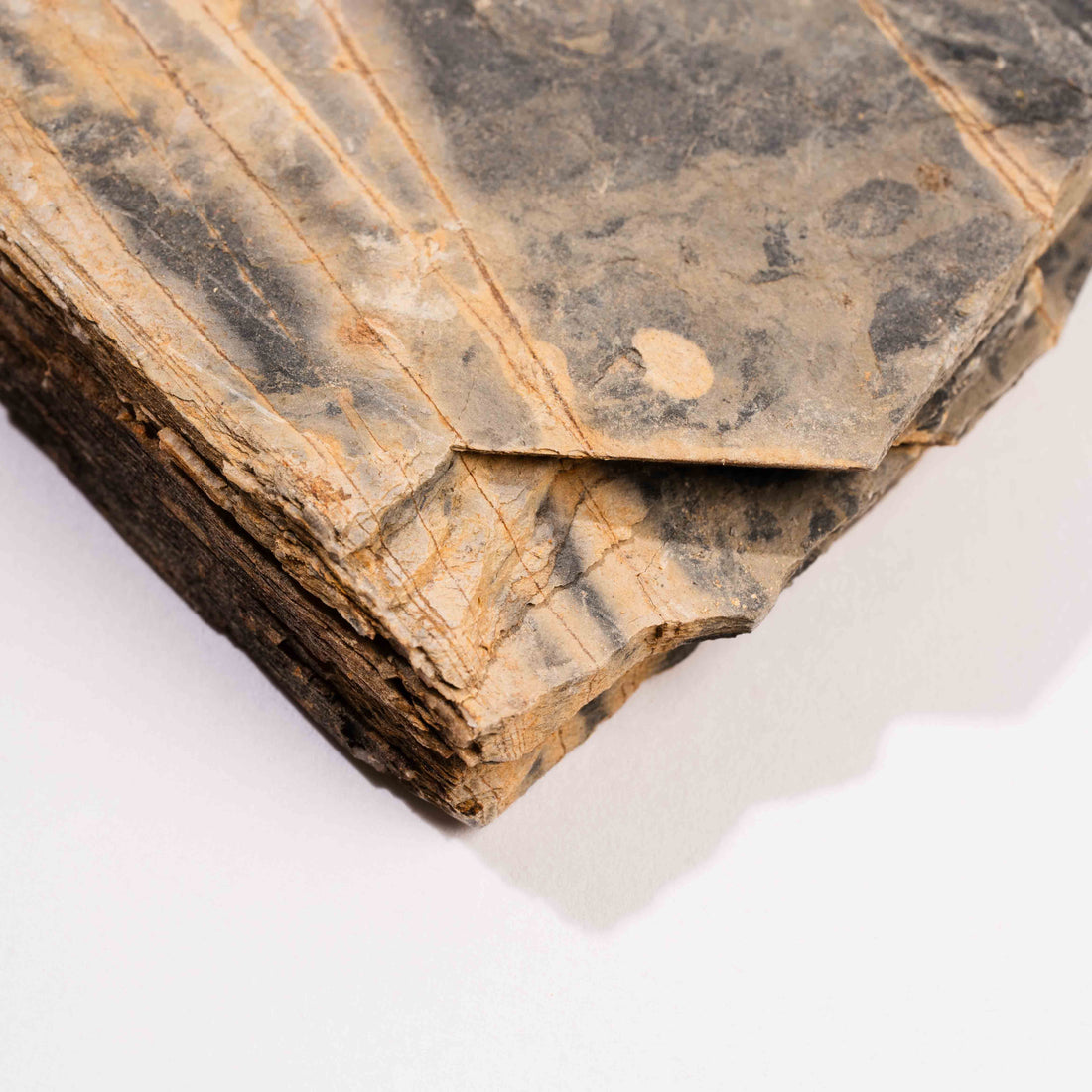 Slaty Shale Record - Earth Love Gallery Collection