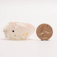 Fluorite, Pink & Green (Light)