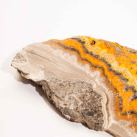 Jasper, Bumble Bee - Slab, Large