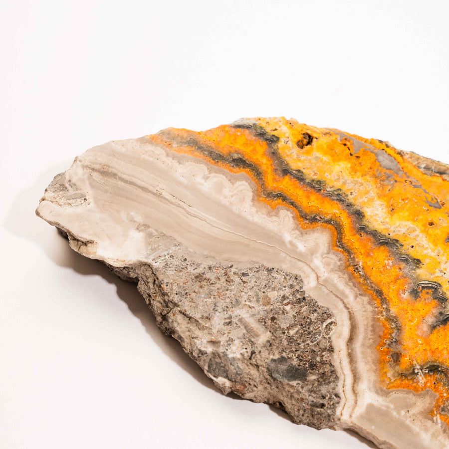 Jasper, Bumble Bee - Slab, Large