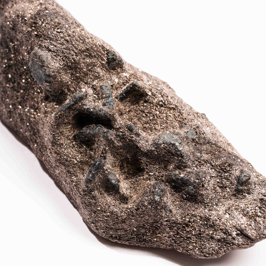 Alexandrite in Mica Schist - Earth Love Gallery Collection