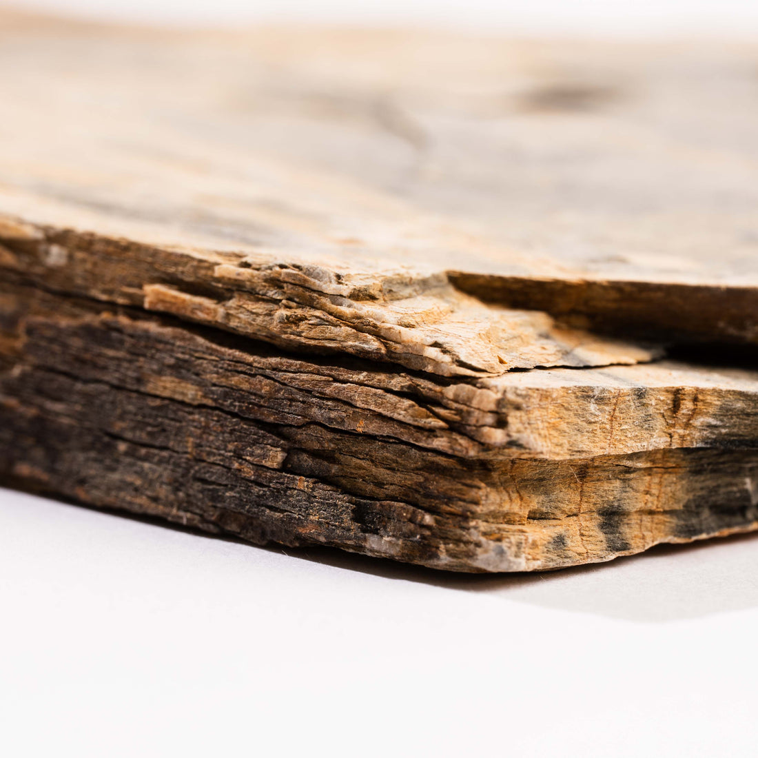 Slaty Shale Record - Earth Love Gallery Collection