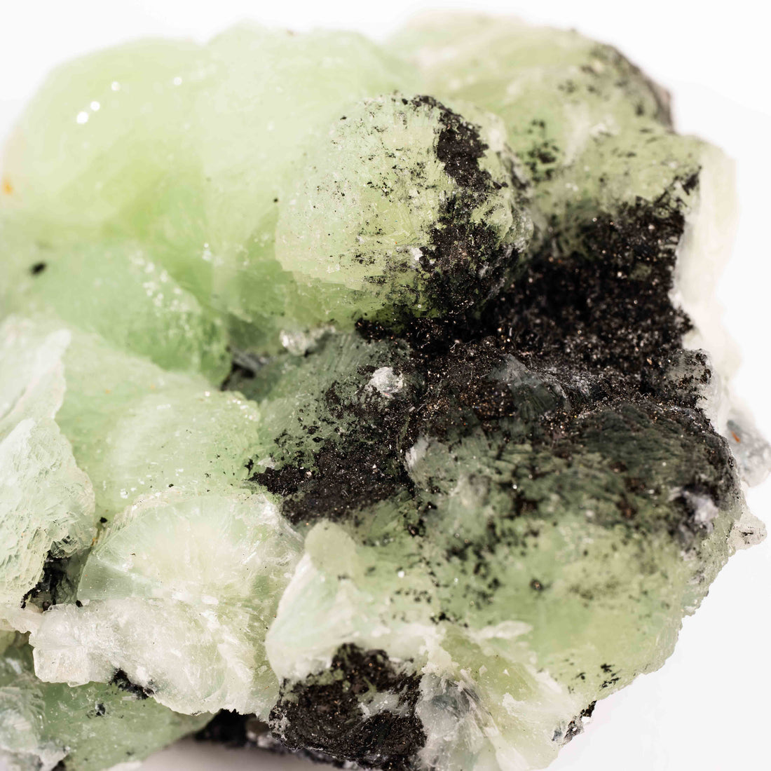 Prehnite w/ Black Quartz - Rough