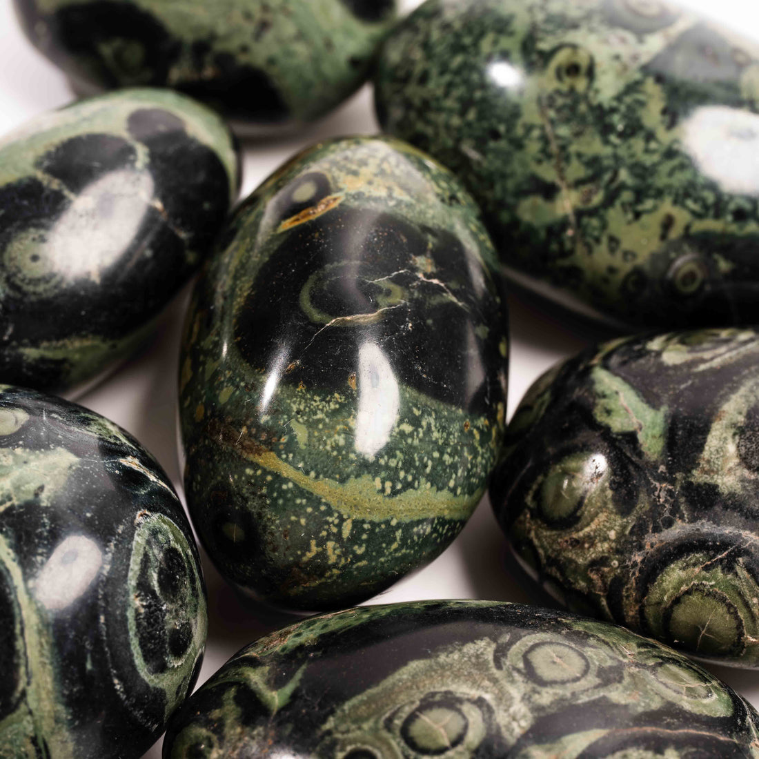 Jasper, Kambaba - Palm Stone(s)