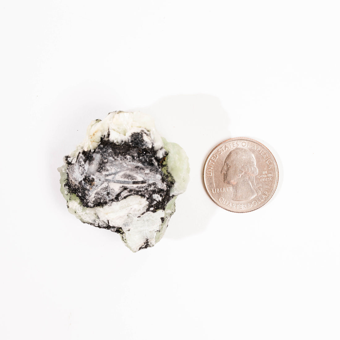 Prehnite w/ Black Quartz - Rough